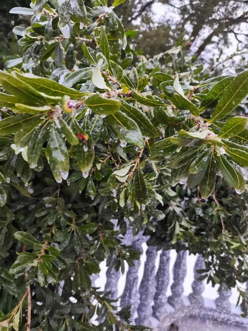 湖南常德天气15天，常德天气预报15天查询结果？  第5张