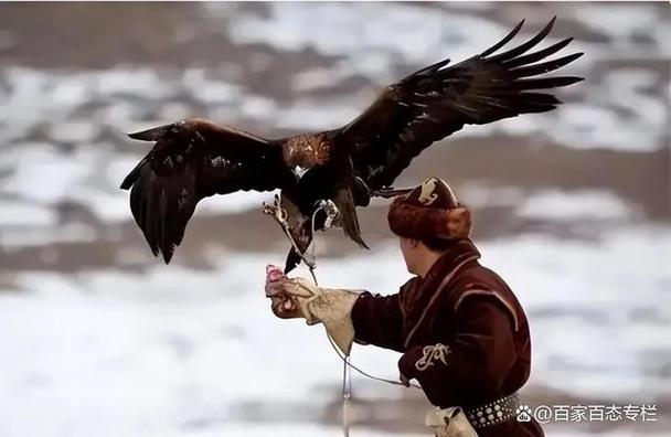 老鹰吃人残忍图？老鹰吃人残忍图片？  第6张