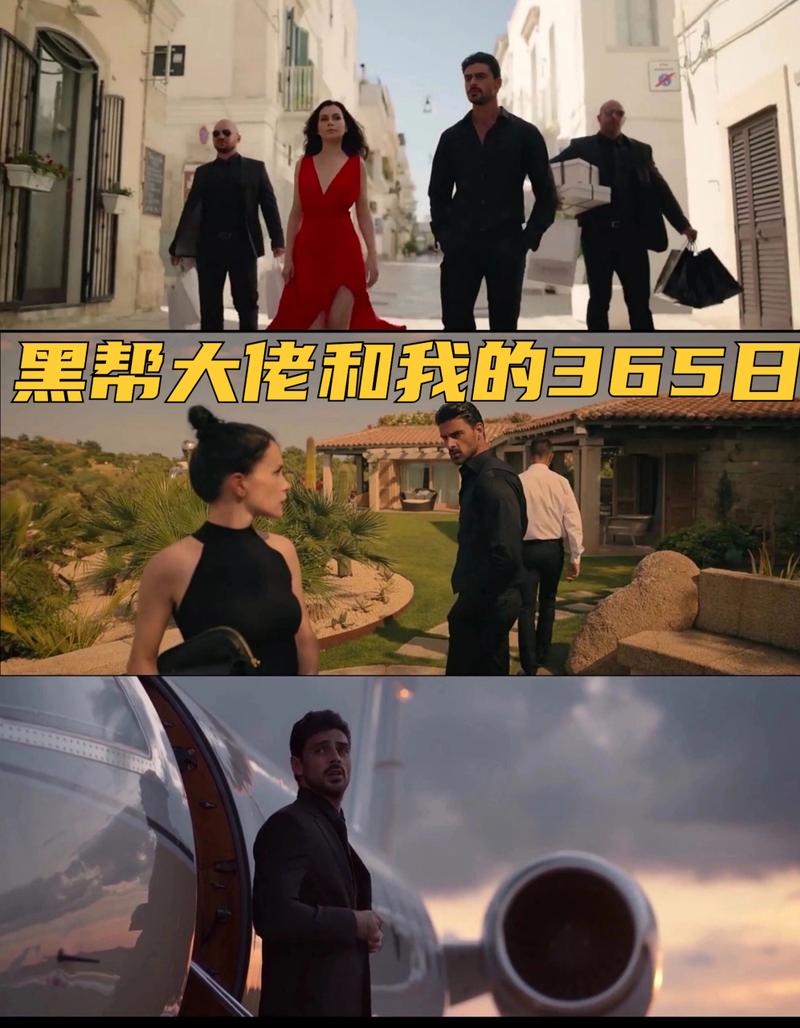 黑社会老大的365天第一部的简单介绍  第3张