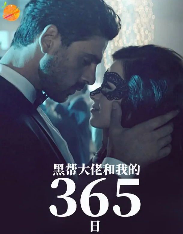 黑社会老大的365天第一部的简单介绍  第4张