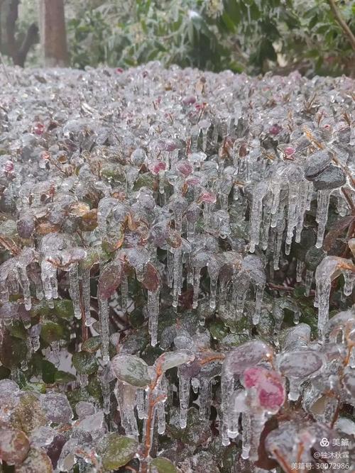 潜江天气预报60天，湖北潜江天气预报30天查询结果  第6张
