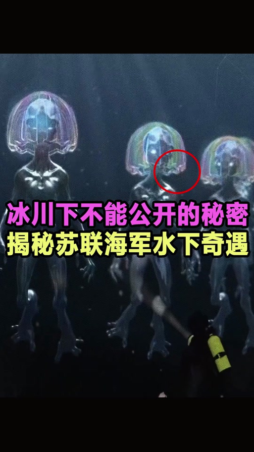uso不明潜水物真相，不明潜水物事件？  第4张