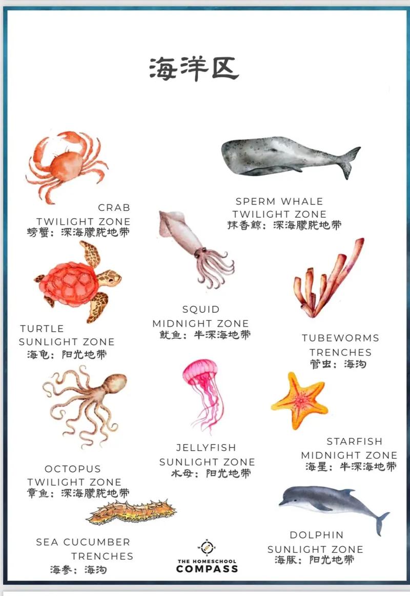 十种灭绝的可怕海洋动物，前十名灭绝的海洋生物  第3张