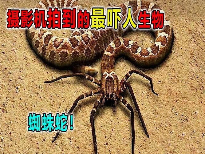 黄金箭毒蛙究竟有多毒，黄金箭毒蛙大战蜈蚣？  第5张