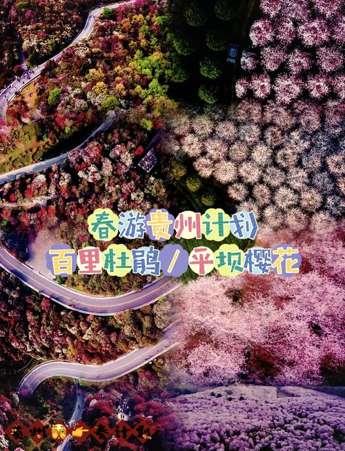 福泉天气15天查询，搜索福泉市天气预报？  第5张