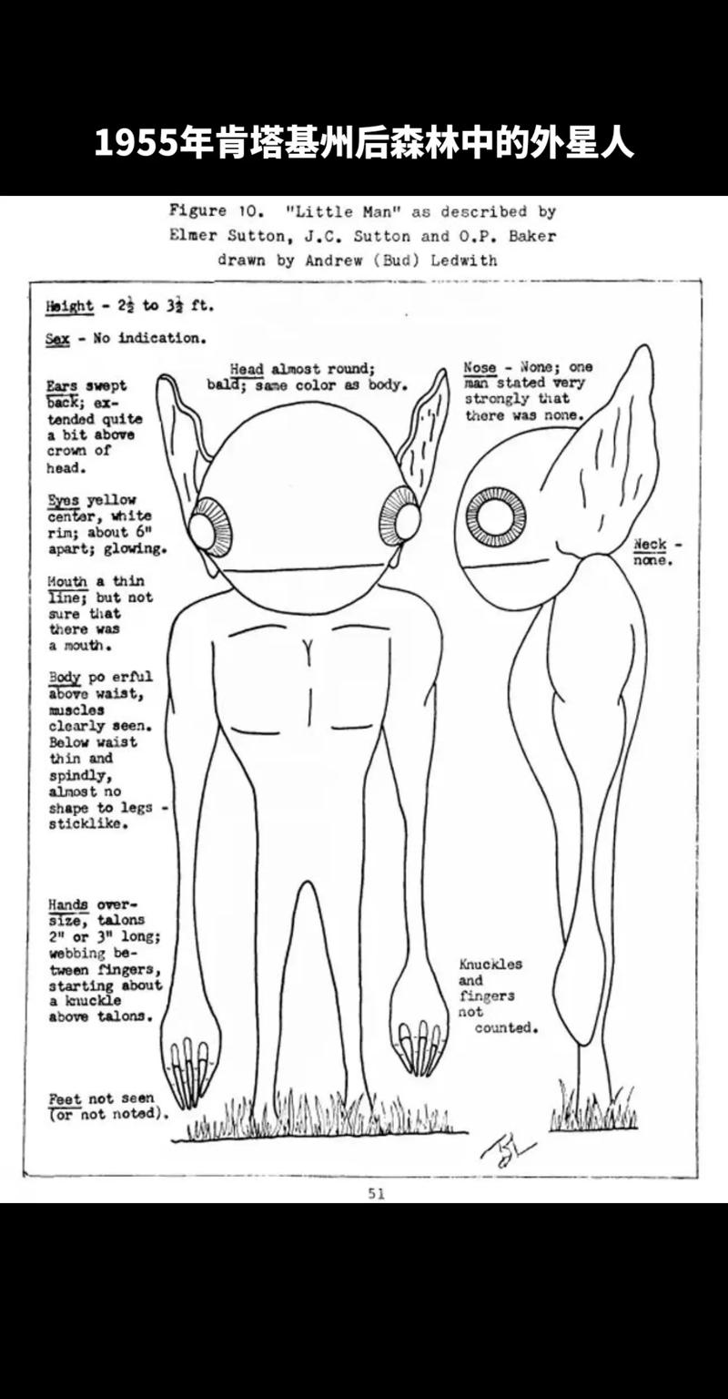 ufo现象神秘未解之谜？ufo现象神秘未解之谜在线观看？  第5张