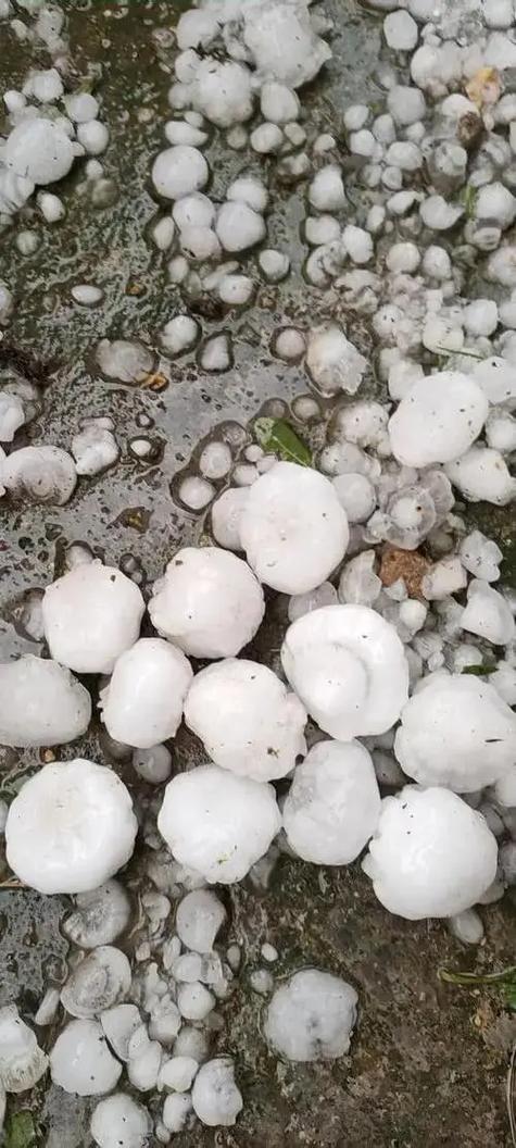 邯郸市天气24小时？邯郸天气1两小时？  第4张