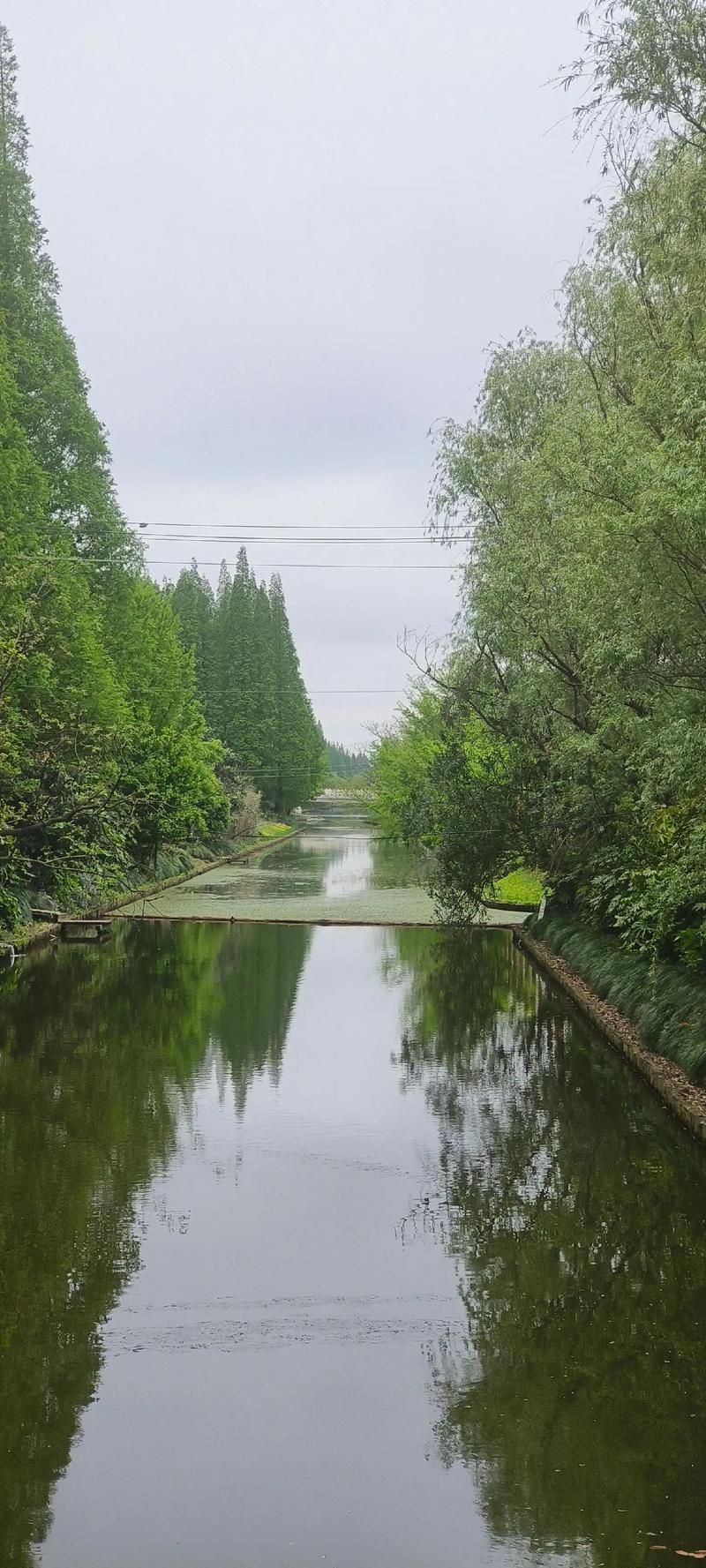 10月2日崇明天气，上海明天崇明天气  第2张