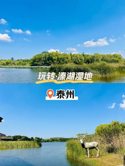 姜堰一周的天气预报，姜堰天气逐小时预报  第5张