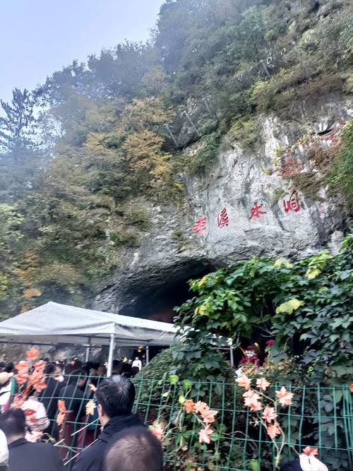 盘锦大洼区天气预报，盘锦大洼区天气预报查询  第2张