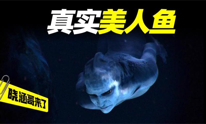 世界上有没有美人鱼?？世界上有没有美人鱼真实照片？  第3张