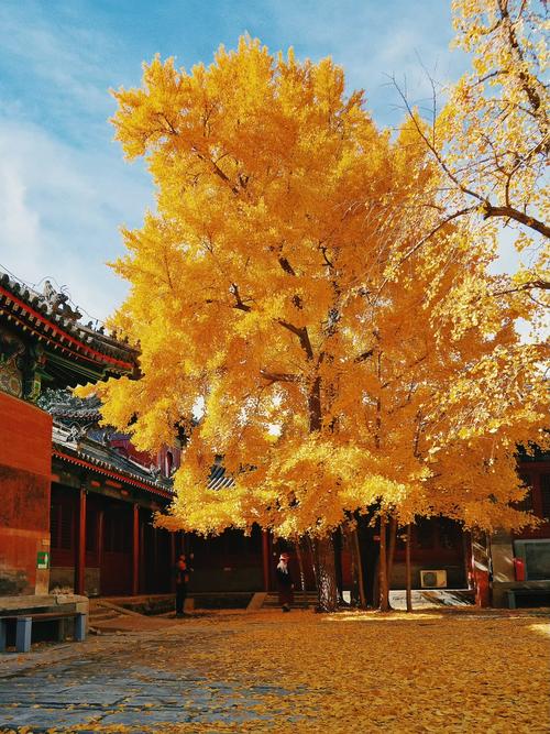 谷城县今天天气预报，谷城县今天天气预报24小时  第1张