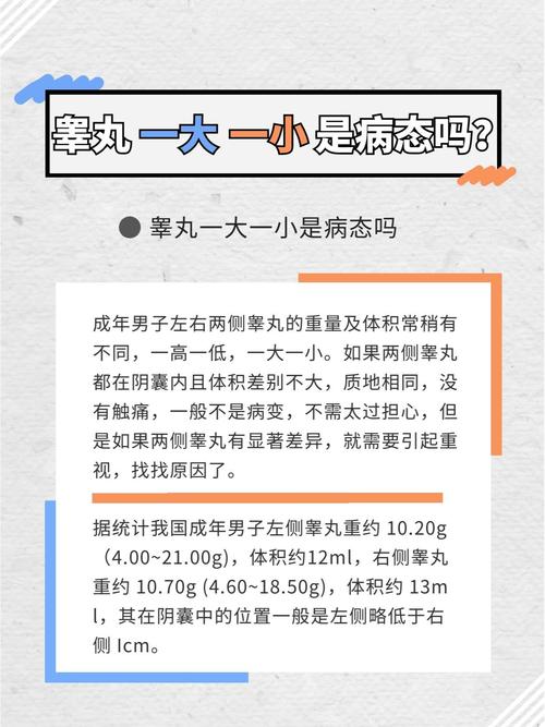 如何让睾丸变大，飞机打多了怎么挽救  第3张