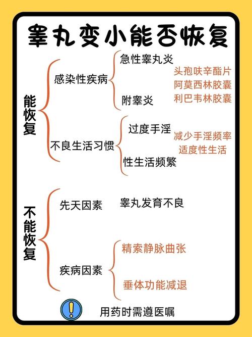 如何让睾丸变大，飞机打多了怎么挽救  第4张