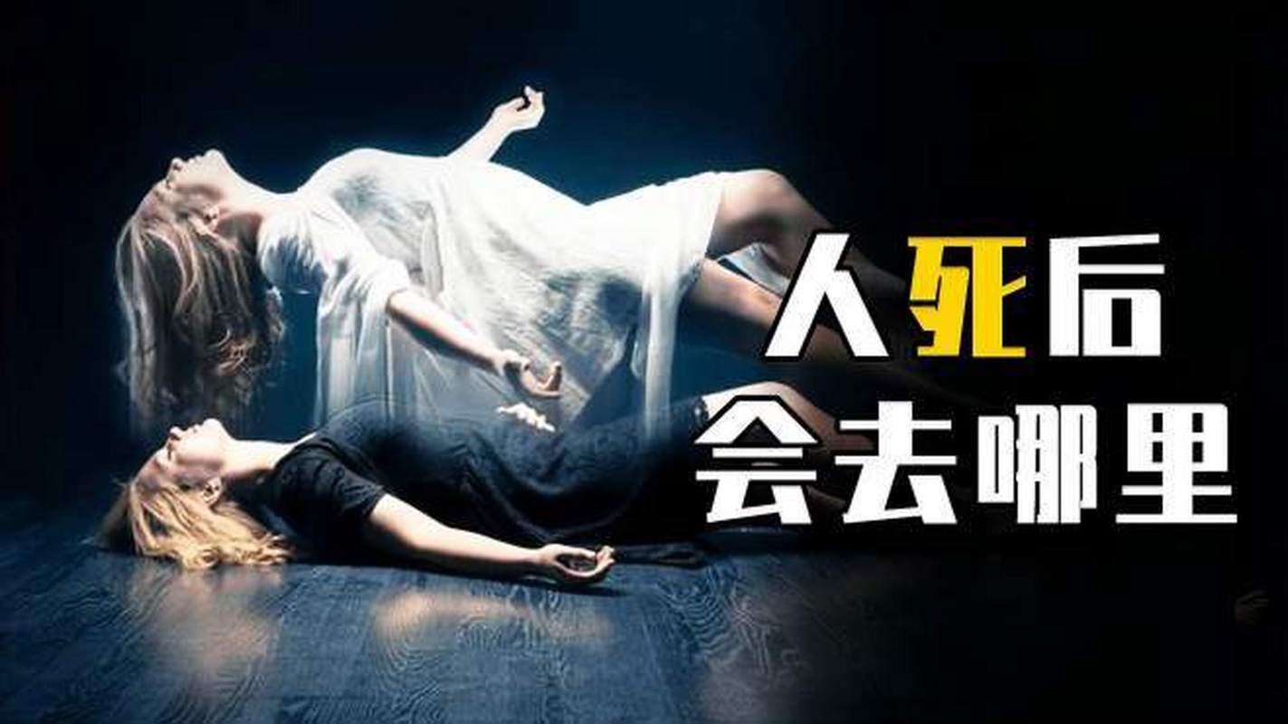 人类可能已经死了，人类死去还会成活吗？  第2张
