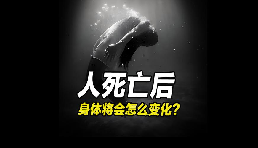 人类可能已经死了，人类死去还会成活吗？  第3张