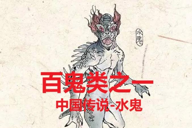 树懒是水鬼吗，树懒是否水怪  第5张
