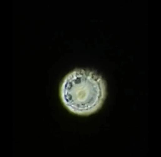 探索ufo之谜？科学探索ufo？  第4张