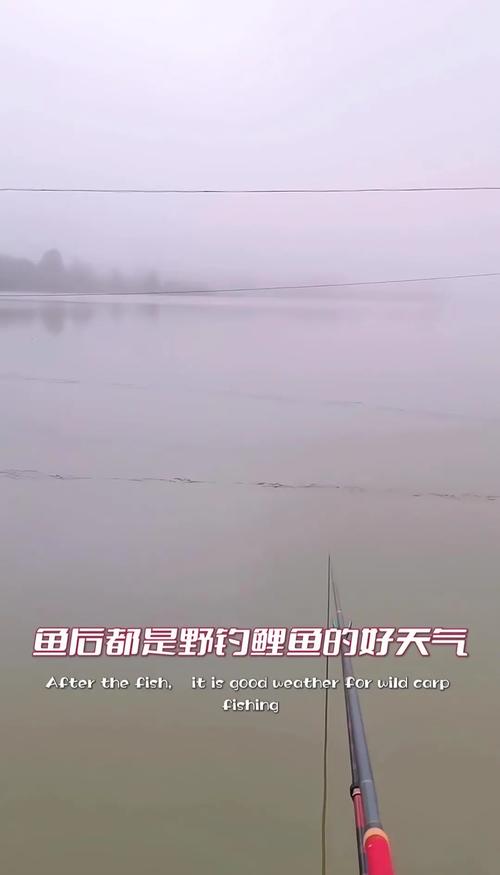宁国天气预报12月，宁国天气预警？  第1张