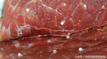 玉米男孩的图片恐怖吗，玉米男孩图片恐怖 小说？  第2张