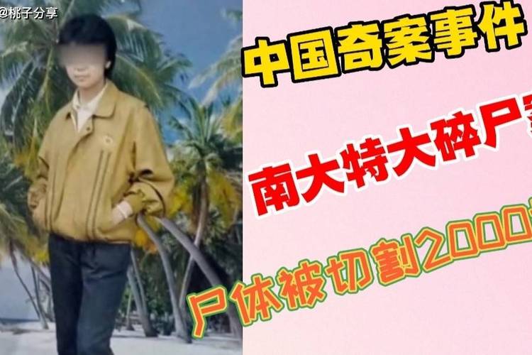 南京大碎尸凶手？南京大碎尸案破案了吗？  第2张