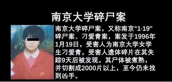 南京大碎尸凶手？南京大碎尸案破案了吗？  第4张