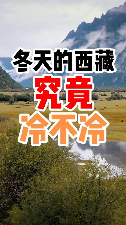 大杨树天气预报天气，大杨树 天气？  第1张