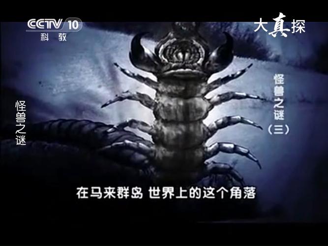 真实怪兽事件，真实怪兽照片？  第3张