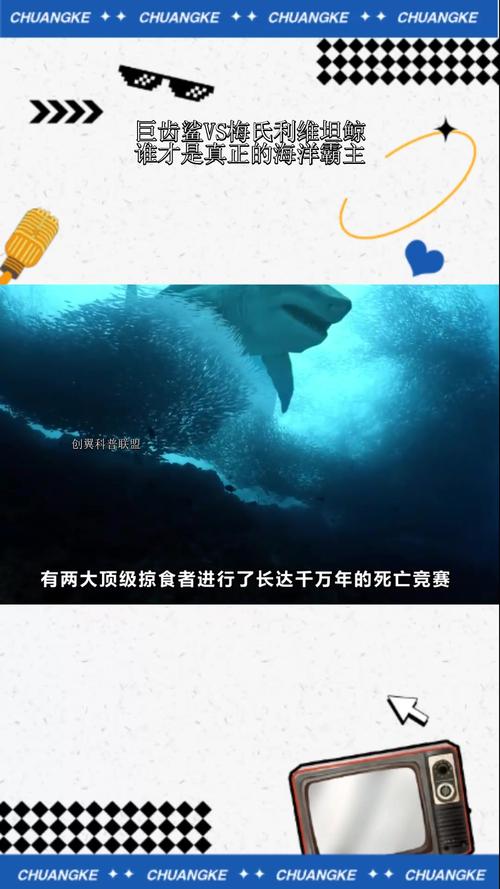 梅尔维尔鲸vs巨齿鲨？梅尔维尔鲸VS巨齿鲨谁会？  第5张