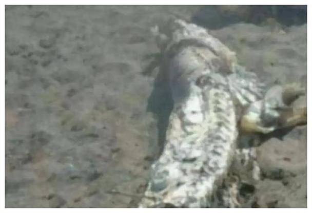 前十闹鬼事件，前十闹鬼地方？  第2张
