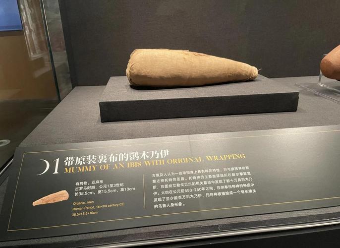 镀金婴尸养得活吗，镀金婴儿尸  第3张