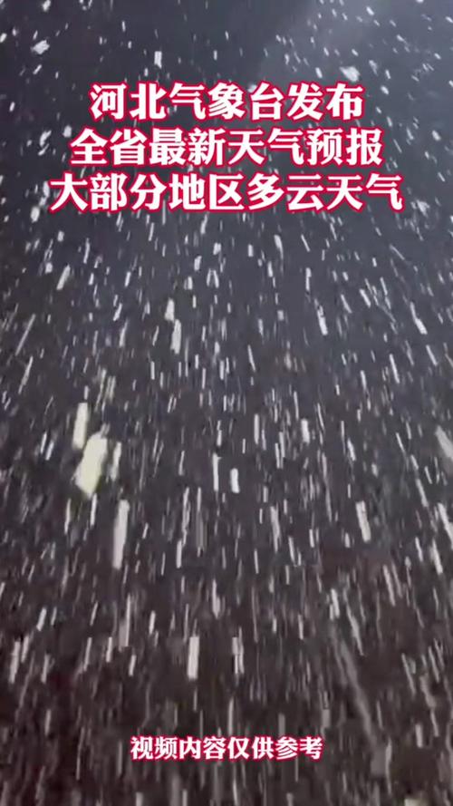 廊坊24小整点天气，廊坊24小时天气  第4张
