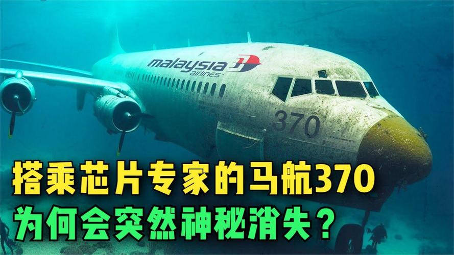 马航370失联真相？马航370失联真相六抖音？  第6张