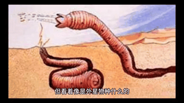 中国未解之谜有哪些？这10个中国未解之谜,个个都很不可思议!真的无奇不有？  第5张