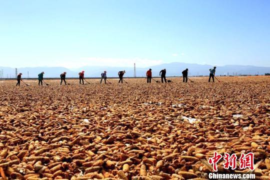 崇阳天气30天查询？崇阳天气15天查询？  第6张