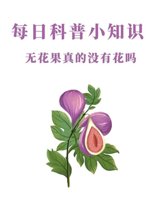 世界上最小的花是无花果吗？世界上最小的 花？  第2张