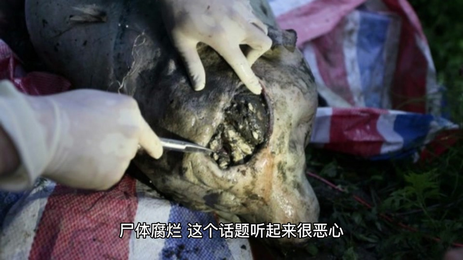 巨人观恶心图片，巨人观图片贴吧？  第5张