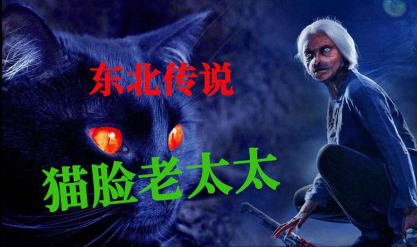 猫脸老太太恐怖照片小孩，猫脸老太太有多恐怖  第2张