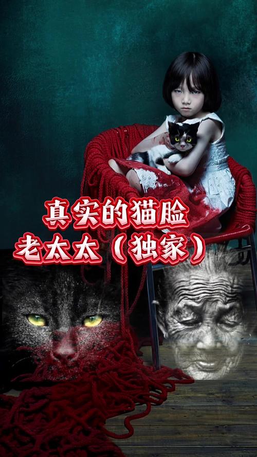 猫脸老太太恐怖照片小孩，猫脸老太太有多恐怖  第4张