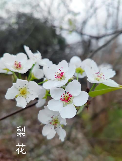 隆德天气预报40天？隆德天气预报40天准确一览表图片？  第5张