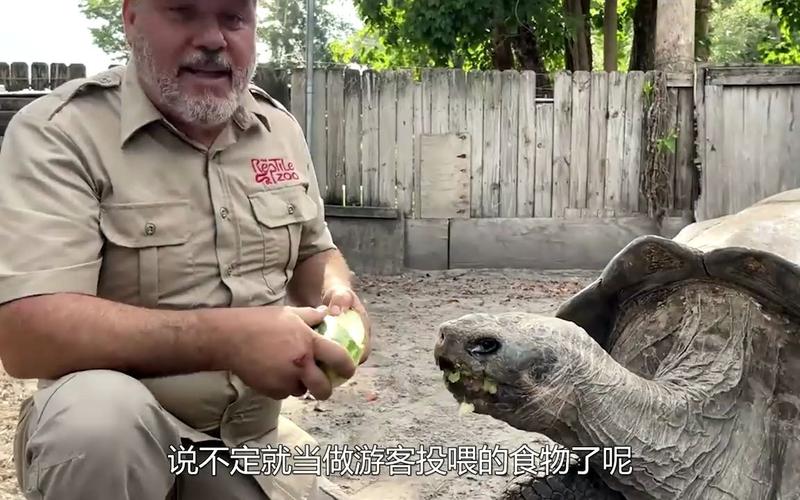 世界上最吓人的乌龟？世界上最吓人的乌龟长什么样？  第3张