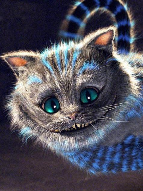 微笑猫的恐怖照片？微笑猫图？  第2张