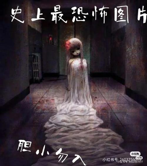 世界上最诡异的15张图片，世界上最诡异的15张图片高清  第5张
