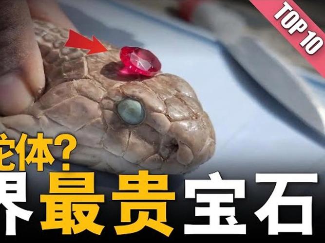 世界上最贵的东西，世界上最贵的东西是什么前十名  第4张