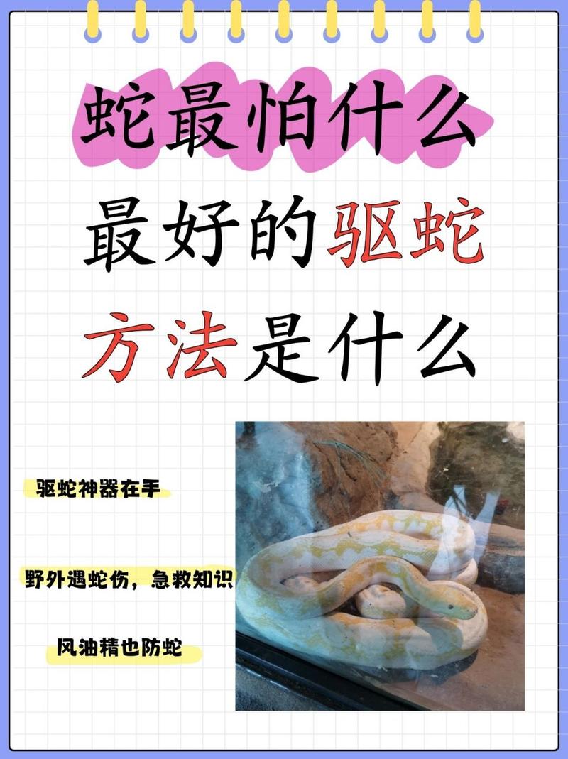 蛇最怕三件东西，蛇最怕哪些东西  第5张