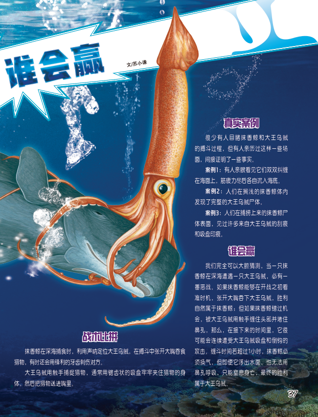 抹香鲸pk大王乌贼视频，抹香鲸vs大王乌贼!动画模拟？  第6张