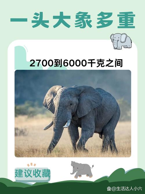 世界上最大的动物是大象吗，世界上最大的动物就是  第2张