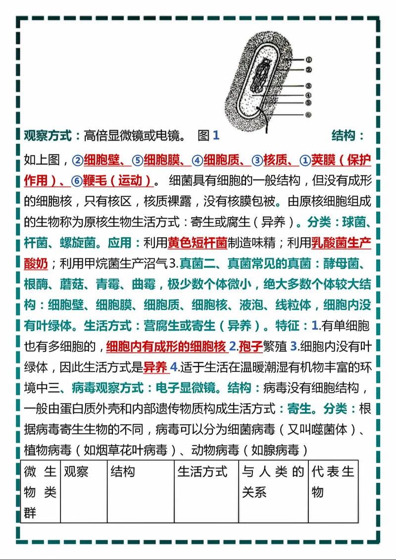 宇航员在太空遗精怎么办，宇航员怎么解决遗精？  第3张