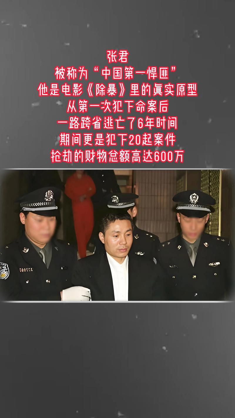 中国前十悍匪排名榜前十视频，中国前十悍匪排名第一？  第2张