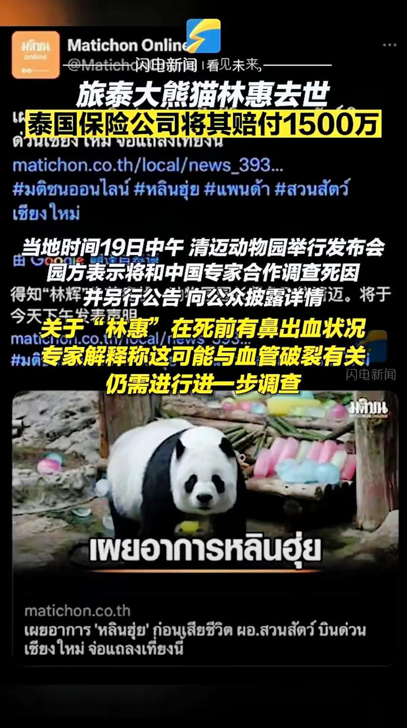 大熊猫去世名单，大熊猫 死亡  第5张
